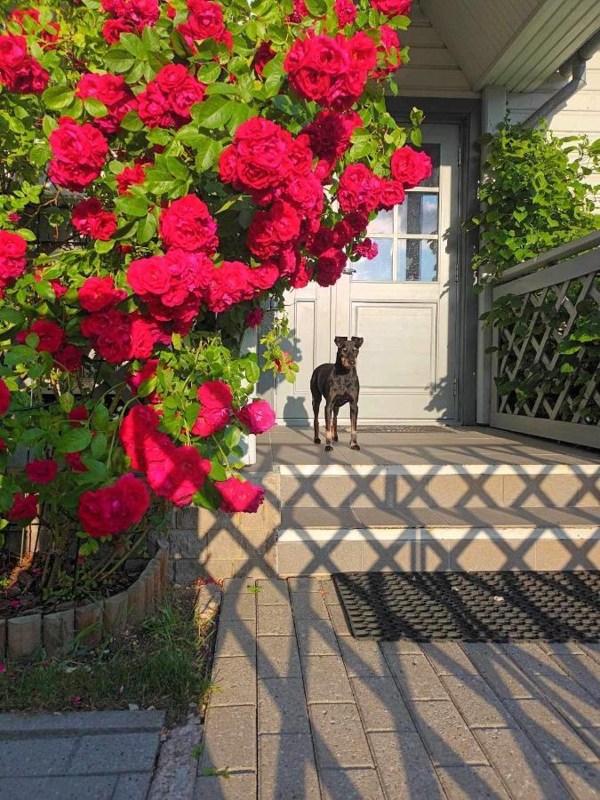 Manni Homestay Kuressaare Bagian luar foto